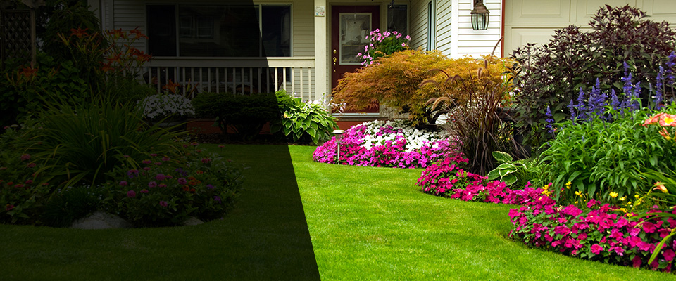 Aragon Landscapers