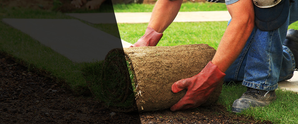 Aragon Landscapers